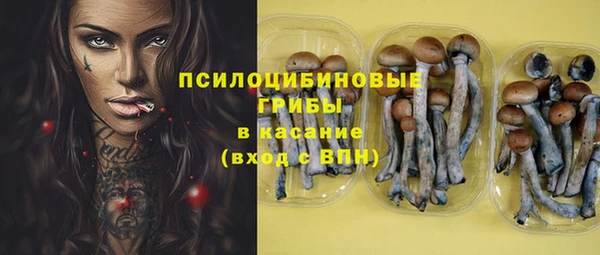 круглые Покачи