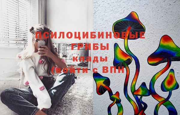 каннабис Аркадак