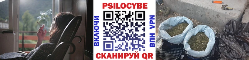 Галлюциногенные грибы MAGIC MUSHROOMS  KRAKEN зеркало  Бабушкин 